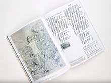 Load image into Gallery viewer, Vultures & Fireflies