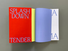 Load image into Gallery viewer, splashdown tender